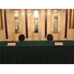 特斯拉在華建廠終落地 將牽手上海電氣